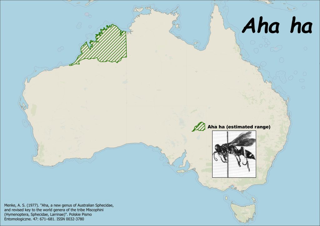 Map of Austrailia with a region in the northwest and south central colored to indicated range, is a species of wasps named "Aha ha", a diagram of the wasp in the lower right